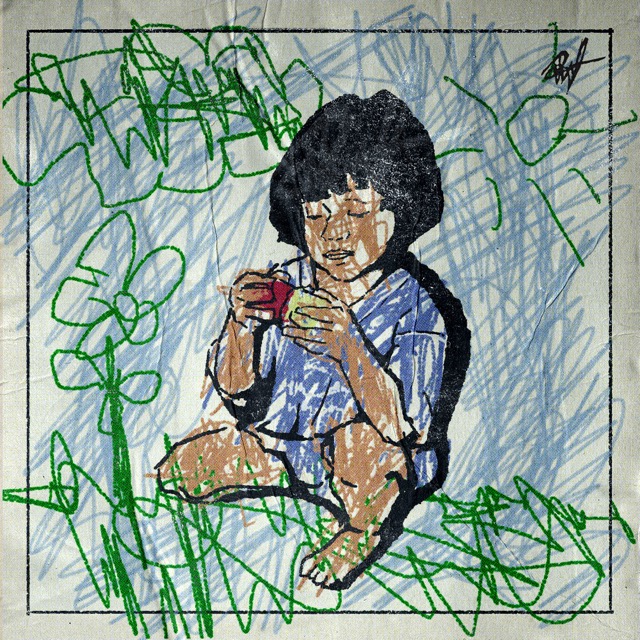 Capa 11